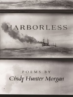 cover image of Harborless